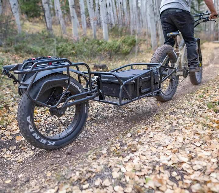 Electric tricycle sales Ottawa